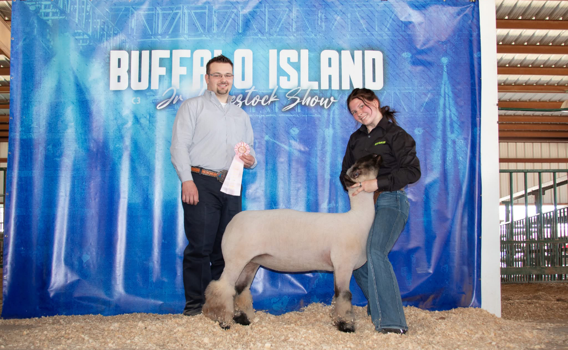 Champion show heifer portrait