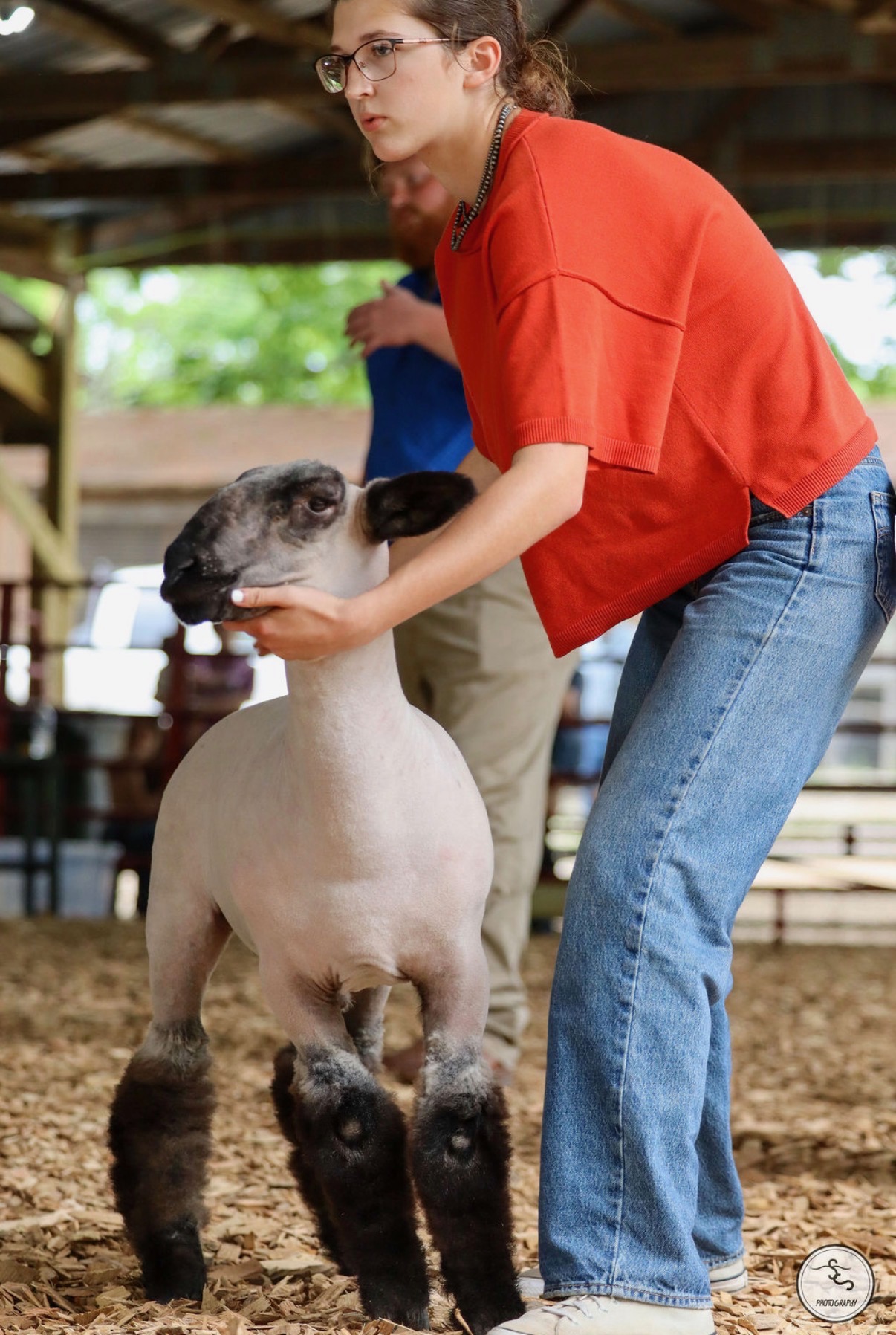 Sheep & Goat Show