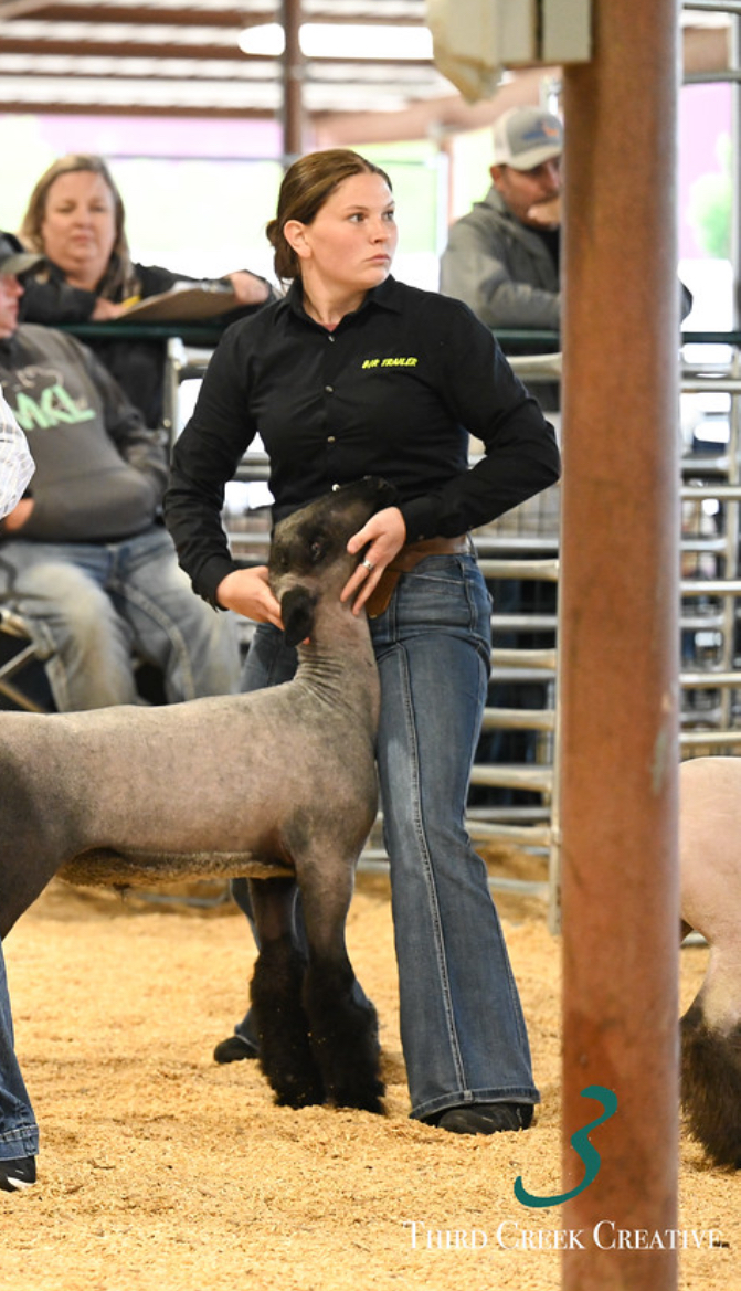 Youth showmanship in arena